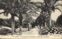 CPA Nice Promenade du Chateau Allee des Palmiers 