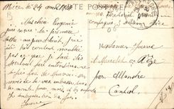 CPA Nice Promenade du Chateau Allee des Palmiers 