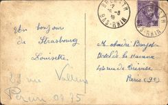 CPA Strasbourg L'Orangerie Ganseliesel Par Schultz 