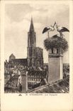 CPA Strasbourg Les Cigognes 