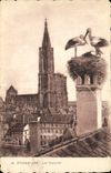 CPA Strasbourg Les Cigognes 