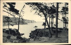 CPA Bord de mer Arbres