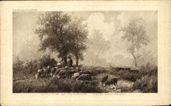 CPA Moutons au Paturage Nach dem regen 