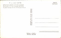 CPA La Cote Jetant son cri plaintif la mouette immaculee se joue des elementsni la mer dechinee 