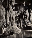 CPA Grottes de Betharram Champignoax 