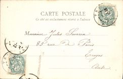 CPA Troyes Les Archives Lion