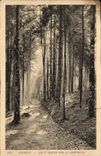 CPA Schirmeck Sur le Sentier vers le Champ du Feu 