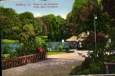 CPA Strasbourg IE Partie in der Orangerie Partie dans l'Orangerie 