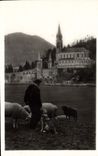 CPA Lourdes La Basilique Berger Moutons Chien
