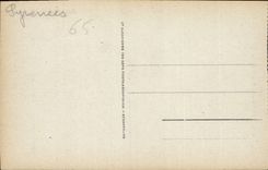 CPA St Sauveur Le Pont Napoleon 