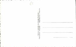 CPA Lourdes Le Chateau Fort Reproduction miniature de Maisons Pyreneennes 