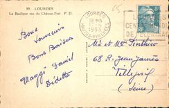 CPA Lourdes La Basilique vue du Chateau Fort 