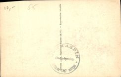 CPA Les Pyrenees Paturages en montagne 