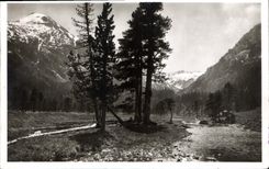 CPA Cauterets Vallee du Marcadau le Plateau de Cayan 