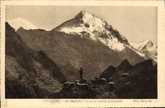 CPA Pyrenees Un Troupeau dans la Haute Montagne 