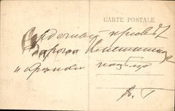 CPA Lourdes La Basilique et la Grotte 