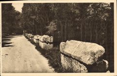 CPA Arles Bouches du Rhone les Alyscamps l'Allee des Tombeaux 