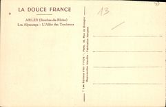 CPA Arles Bouches du Rhone les Alyscamps l'Allee des Tombeaux 