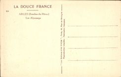 CPA Arles Bouches du Rhone les Alyscamps 