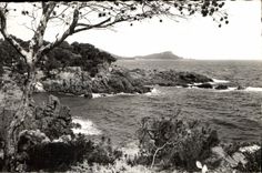 CPA Cote d'Azur Boulouris Calanques de Sainta Lucia au fond le Dramont 