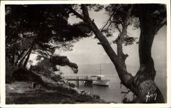 CPA Cote d'Azur Ile Ste Marguerite l'Embarcadere Bateau