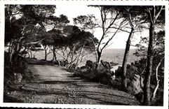 CPA La Cote d'Azur le Chemin sous les Pins 