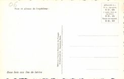 CPA Sous bois aux Iles de Lerins 