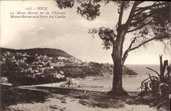 CPA Nice le Mont Boron vu du Chateau 