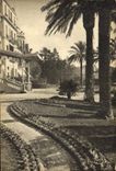 CPA Cannes A M Parc de l'Hotel Beausejour 