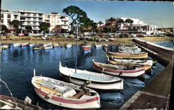 CPA La Cote d'Azur Cannes le Palm Beach 