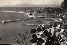 CPA Nice vue generale 