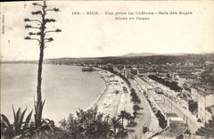 CPA Nice vue prise du Chateau Baie des Anges Aloes en fleurs 