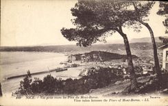 CPA Nice vue prise entre les Pins du Mont Boron 