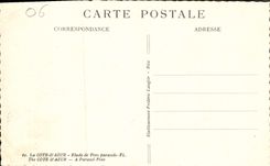 CPA La Cote d'Azur Etude de Pins Parasols 