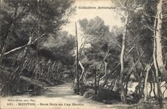 CPA Menton sous Bois au Cap Martin 