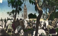 CPA Scenes et Types Marche aux Legumes Algerie