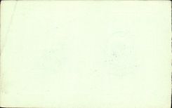 CPA Bonne Annee Fleurs