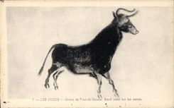 CPA Les Eyzies Grotte de Font de Gaume boeuf peint sur les parois 