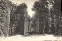 CPA Parc du Chateau de Chantilly les Trois Allees 