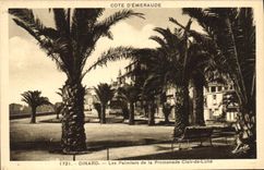 CPA Cote d'Emeraude Dinard Les Palmiers de la Promenade Clair de Lune 