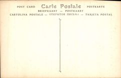 CPA Musee Jacquemart Andre Institut de France 