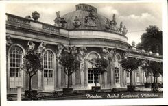CPA Potsdam Schlob Sanssouci Mittelbau 