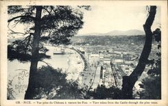 CPA Nice Vue prise du Chateau a travers les Pins 