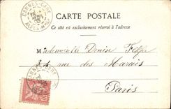 CPA Cannes Entre les Palmiers 