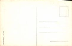 CPA Nice Vue prise du Chateau Baie des Anges 