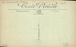 CPA Ile Sainte Marguerite Allee des Eucalyptus 