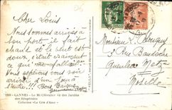 CPA Cannes Le Mt Chevalier vu des Jardins des Hesperides 