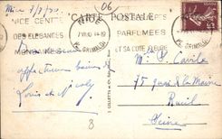 CPA Nice La Grotte Jardins Albert 1er 