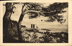 CPA Les Religieux de France Iles de Lerins 