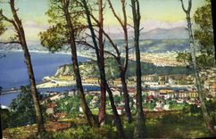 CPA Nice Vue generale prise du Mont Boron 